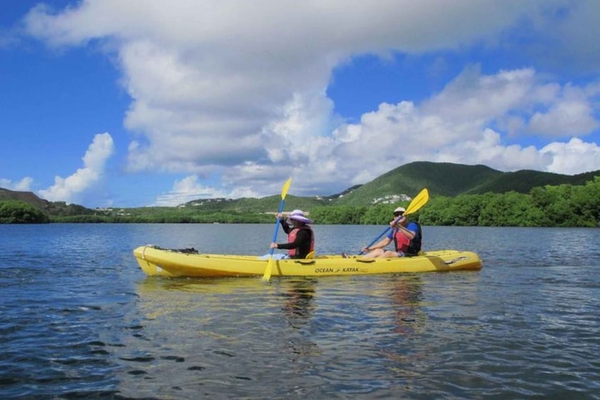 Picture 4 for Activity St. Thomas: Cas Cay - Kayak Hike and Snorkel Adventure