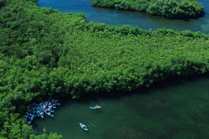 St. Thomas : Cas Cay - Randonnée en kayak et aventure de plongée en apnée