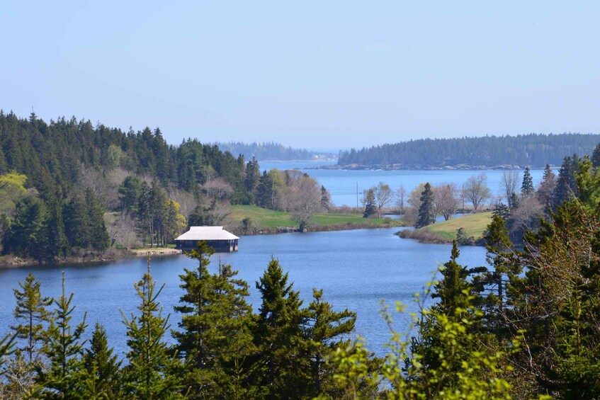 Picture 8 for Activity 6 Hour Private Tour: Ultimate Acadia Tour with Lobster Lunch