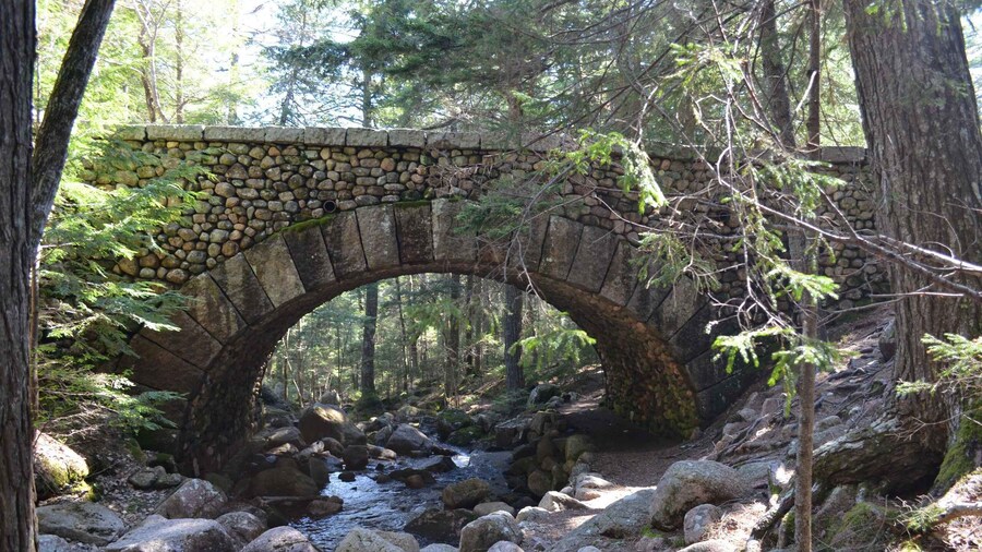 6 Hour Private Tour: Ultimate Acadia Tour with Lobster Lunch