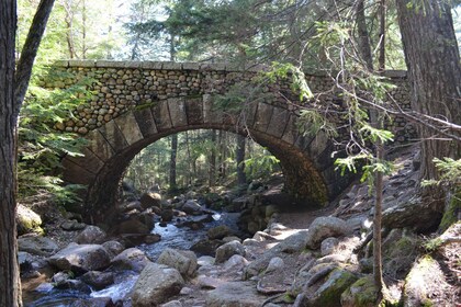 Bar Harbor: Acadia National Park Private Tour with Lunch