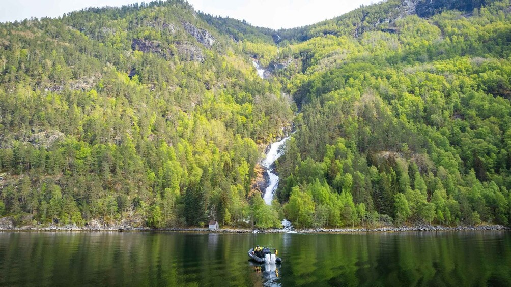 Picture 5 for Activity Ulvik adventure: Exploring Hardangerfjord's Osafjord by RIB