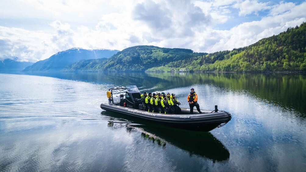 Picture 6 for Activity Ulvik adventure: Exploring Hardangerfjord's Osafjord by RIB