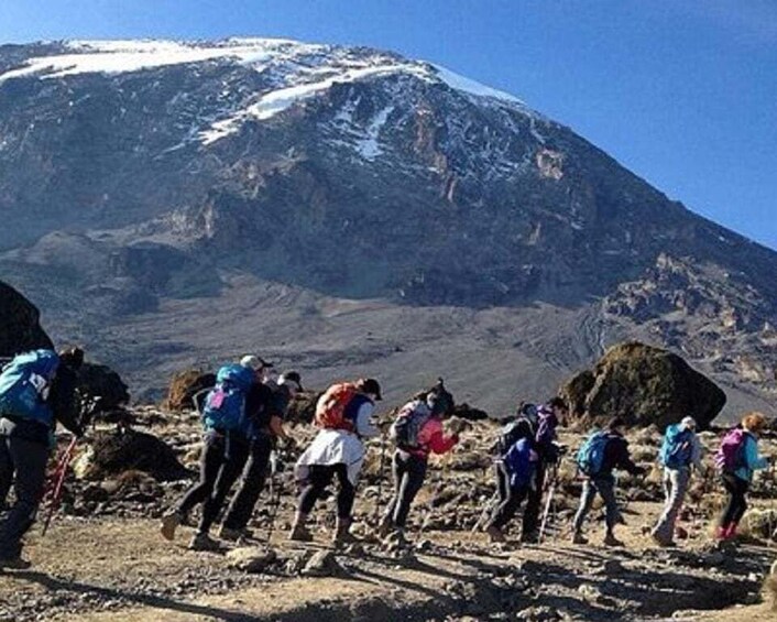 Picture 2 for Activity 6 Days Climbing Kilimanjaro Rongai route