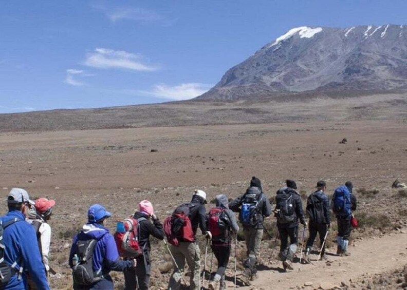 Picture 1 for Activity 6 Days Climbing Kilimanjaro Rongai route