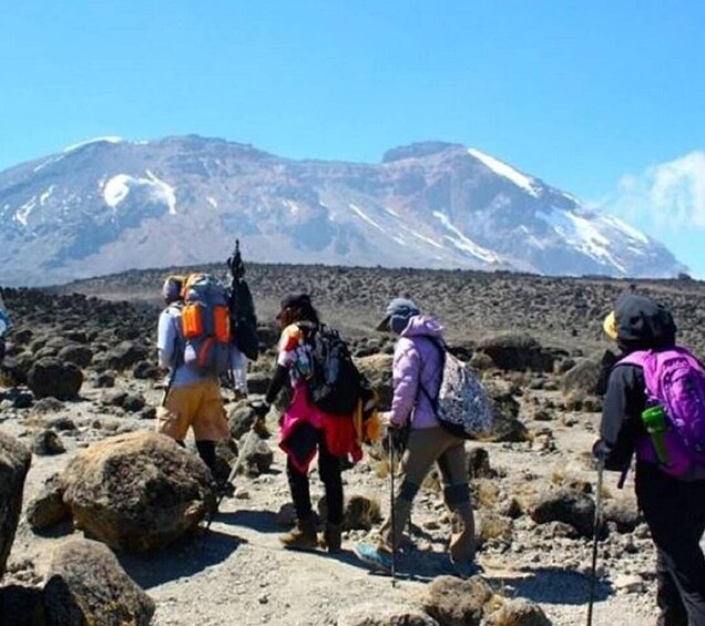 Picture 3 for Activity 6 Days Climbing Kilimanjaro Rongai route