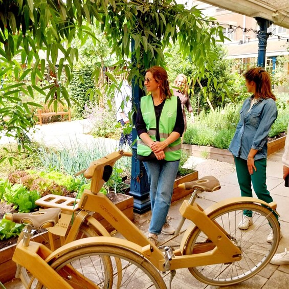 Picture 3 for Activity Antwerp: The Big 5 City Highlights by Wooden Bike