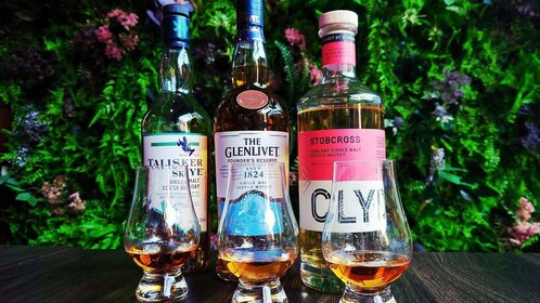 Glasgow: Whisky Flight at contemporary Scottish venue