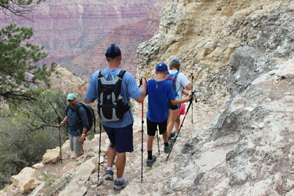 Grand Canyon: Private Day Hike and Sightseeing Tour