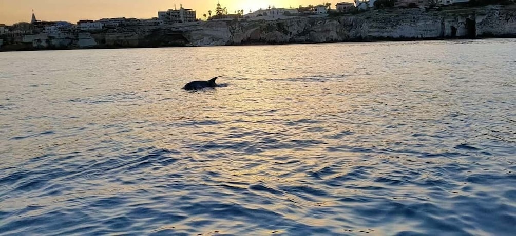 Picture 2 for Activity Private boat tour of the island of Ortigia with lunch