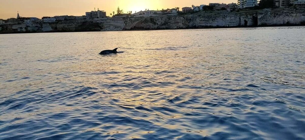 Picture 2 for Activity Private boat tour of the island of Ortigia with lunch