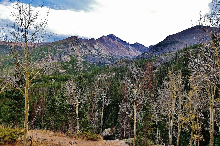 Picture 3 for Activity From Denver: Guided Hike in Rocky Mountain National Park
