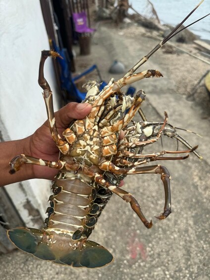 Picture 33 for Activity Costa Rica: Guided Fishing Experience Private