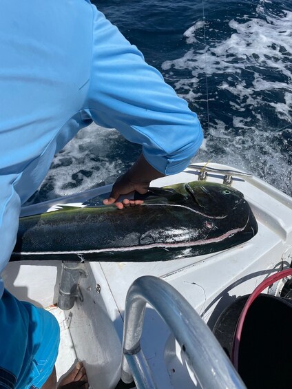 Picture 15 for Activity Costa Rica: Guided Fishing Experience Private