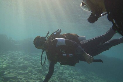 Monopoli: Scuba diving in Cala Incina and Porto Alga