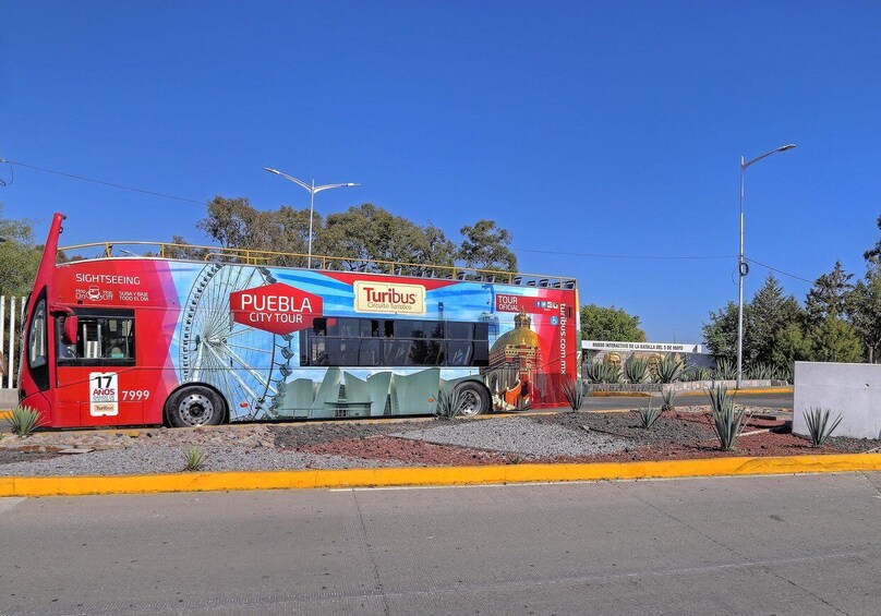 Picture 14 for Activity Puebla: Hop-on Hop-off City Tour and Aquarium Michín