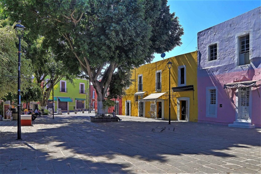 Picture 11 for Activity Puebla: Hop-on Hop-off City Tour and Aquarium Michín