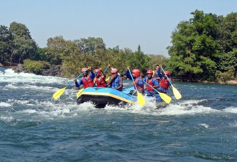 Picture 7 for Activity Colombo: Water rafting, Bird Watching, Village & Rainforest