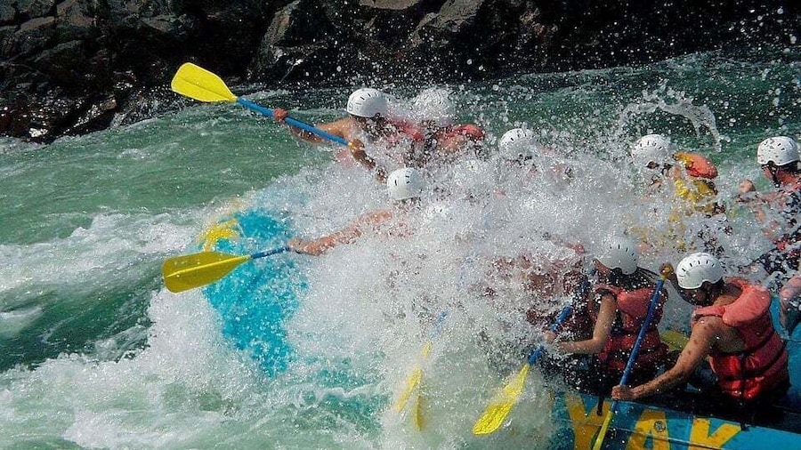 Picture 12 for Activity Colombo: Water rafting, Bird Watching, Village & Rainforest