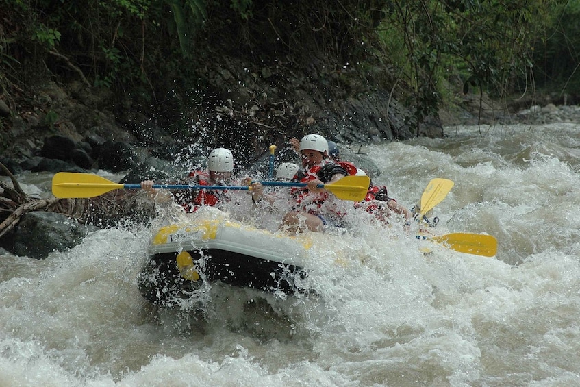 Picture 20 for Activity Colombo: Water rafting, Bird Watching, Village & Rainforest