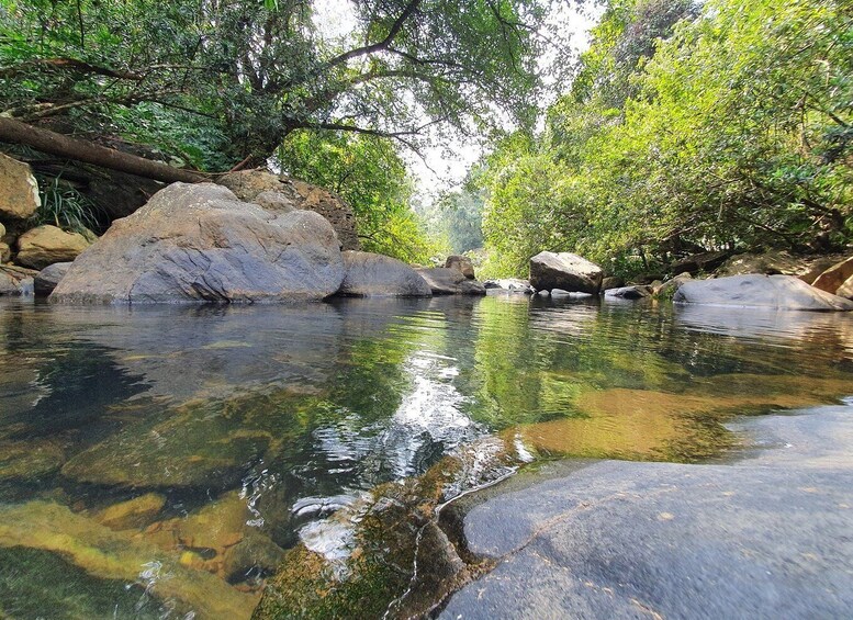 Picture 17 for Activity Colombo: Water rafting, Bird Watching, Village & Rainforest