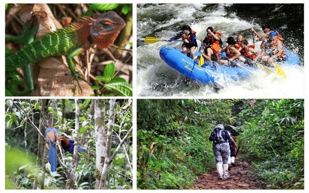 Colombo: Rafting, Bird Watching, Villaggio e foresta pluviale