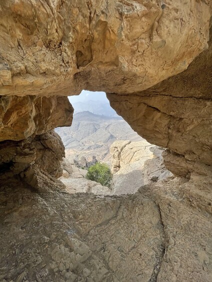 Picture 2 for Activity Fruitful Tour: Rose Farm, Terrace, Karak, Al Jabal Al Akhdar