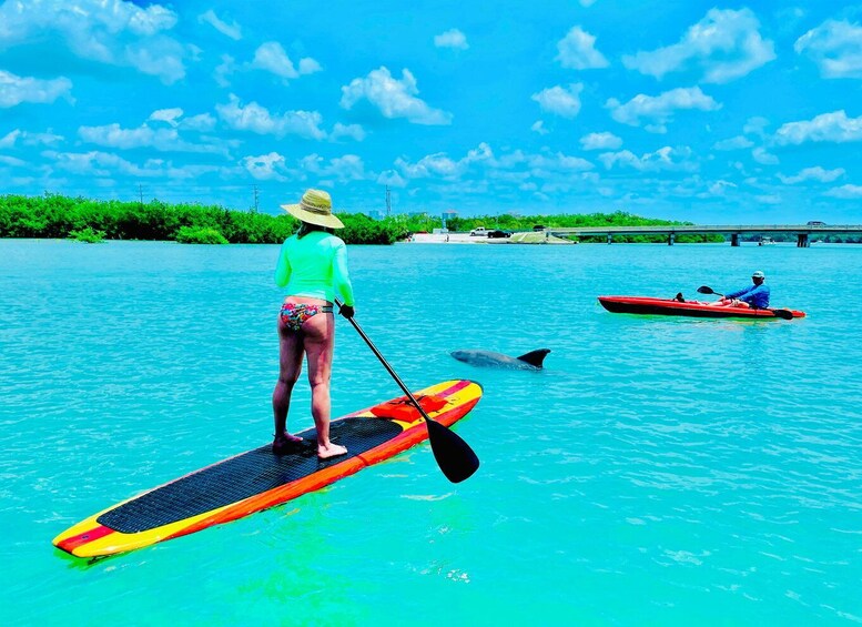 Picture 6 for Activity Fort Myers: Guided Standup Paddleboarding or Kayaking Tour