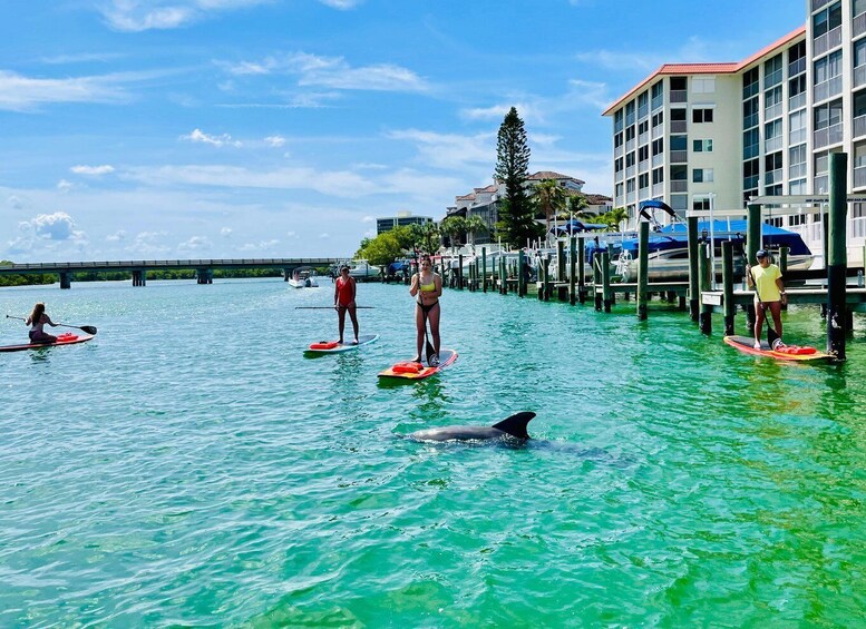 Picture 5 for Activity Fort Myers: Guided Standup Paddleboarding or Kayaking Tour