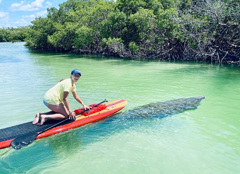 Fort Myers: Guided Standup Paddleboarding or Kayaking Tour