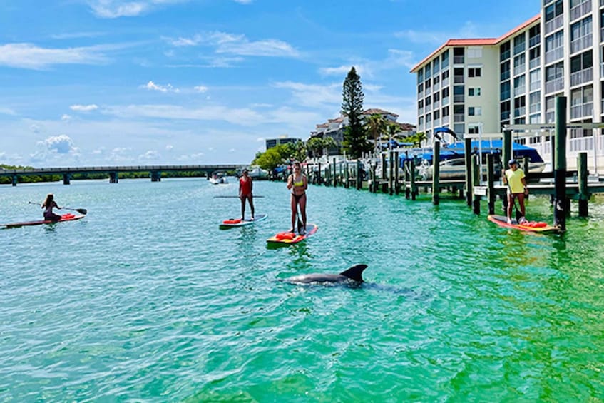 Picture 1 for Activity Fort Myers: Guided Standup Paddleboarding or Kayaking Tour