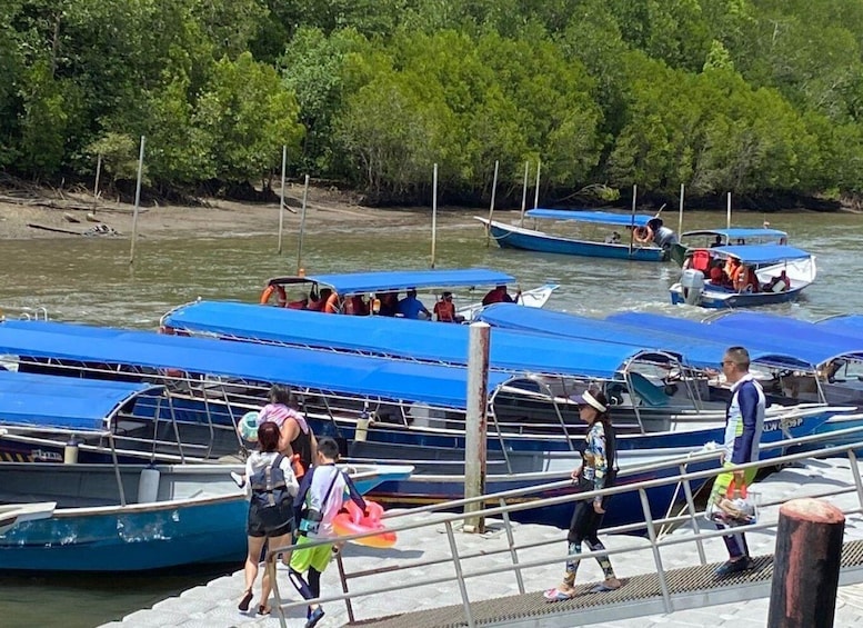 Picture 5 for Activity Mangrovetour 888 in Langkawi: Estimated 1 hour (Private)