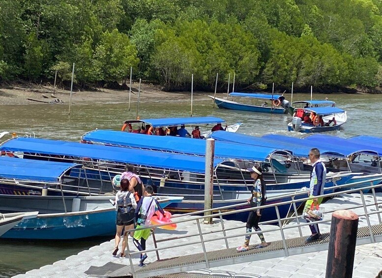 Picture 5 for Activity Mangrovetour 888 in Langkawi: Estimated 1 hour (Private)