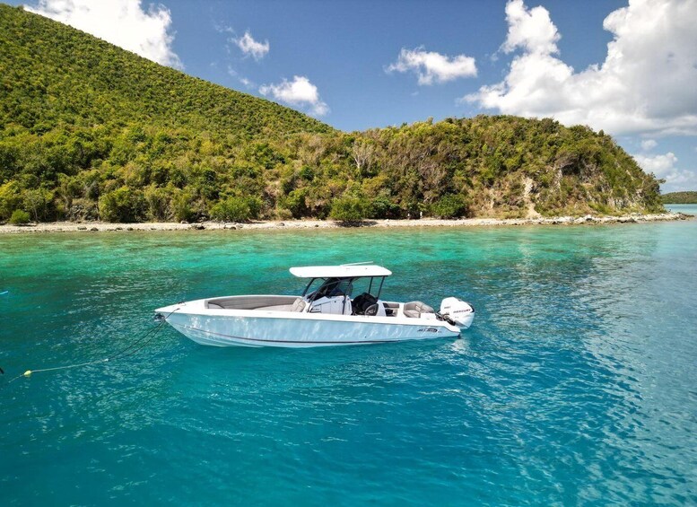 Picture 2 for Activity US Virgin Islands Boat Trip: 34' Nortech