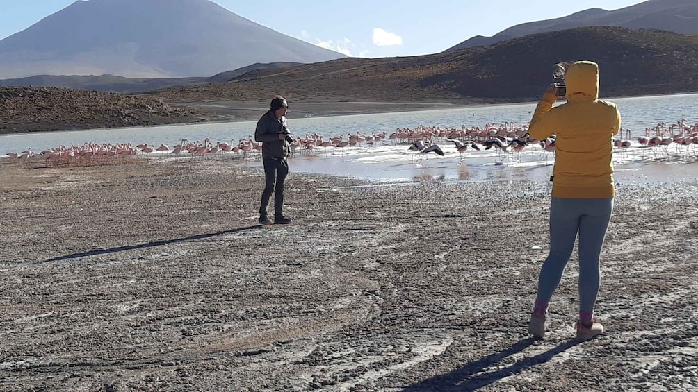 Picture 6 for Activity 2-Days Salt Flats private roundtrip from Uyuni in rains