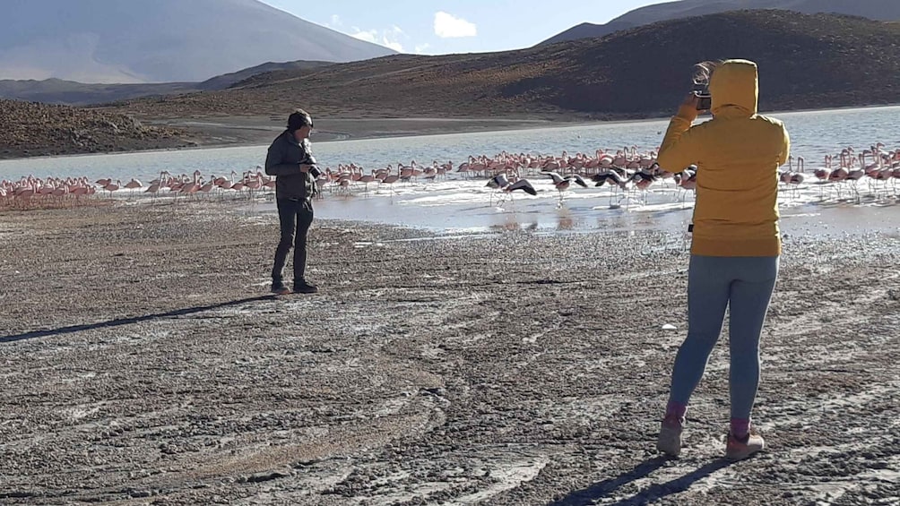 Picture 6 for Activity 2-Days Salt Flats private roundtrip from Uyuni in rains