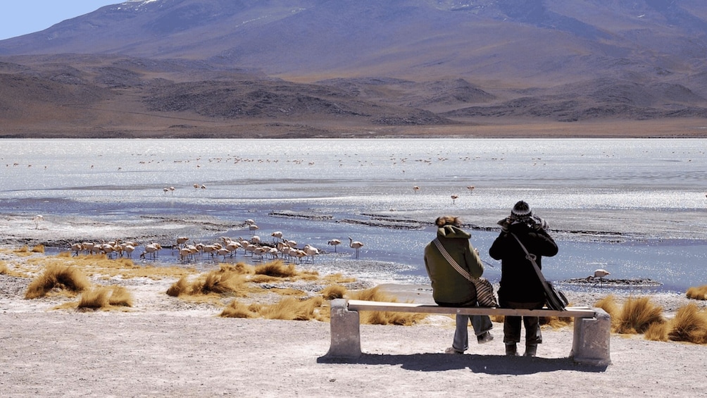 Picture 3 for Activity 2-Days Salt Flats private roundtrip from Uyuni in rains