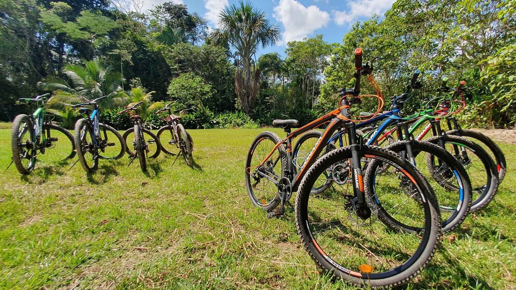 Biking in Peruvian rainforest with Lagoon visit