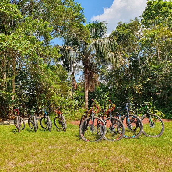 Picture 3 for Activity Biking in Peruvian rainforest with Lagoon visit