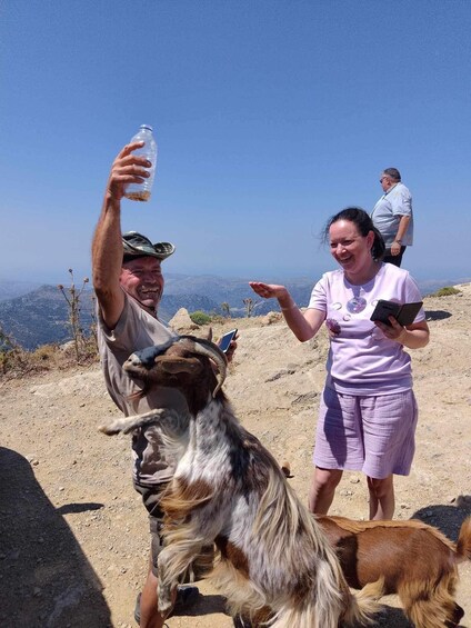 Picture 4 for Activity MALIA: Land rover Safari Lasithi Plateau and Zeus Cave