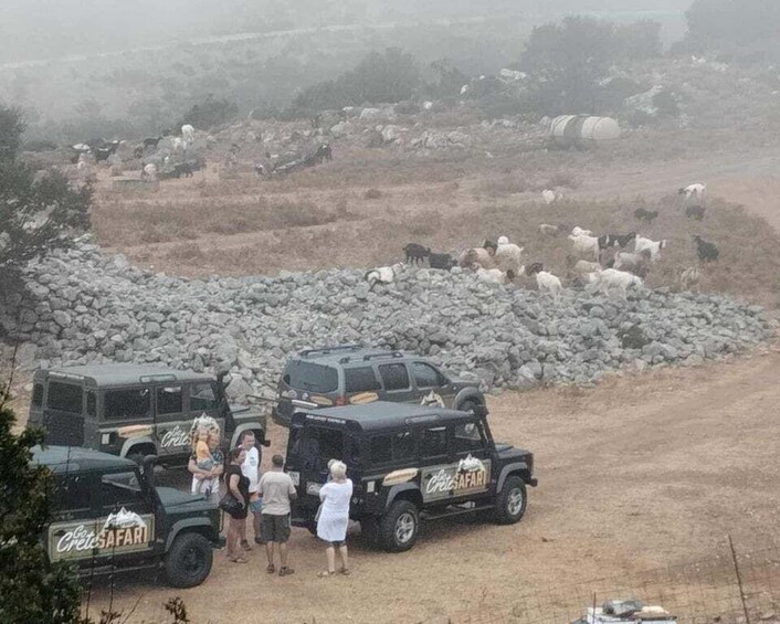 Picture 12 for Activity MALIA: Land rover Safari Lasithi Plateau and Zeus Cave