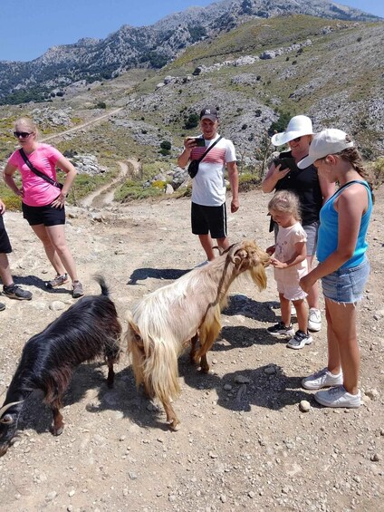 Picture 5 for Activity MALIA: Land rover Safari Lasithi Plateau and Zeus Cave