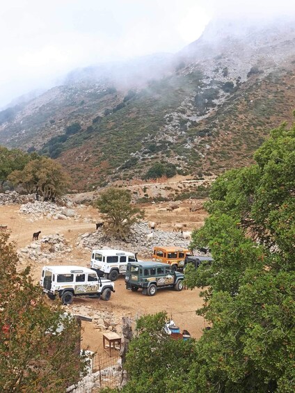 Picture 10 for Activity MALIA: Land rover Safari Lasithi Plateau and Zeus Cave