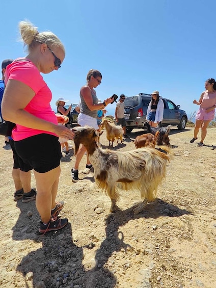 Picture 6 for Activity MALIA: Land rover Safari Lasithi Plateau and Zeus Cave