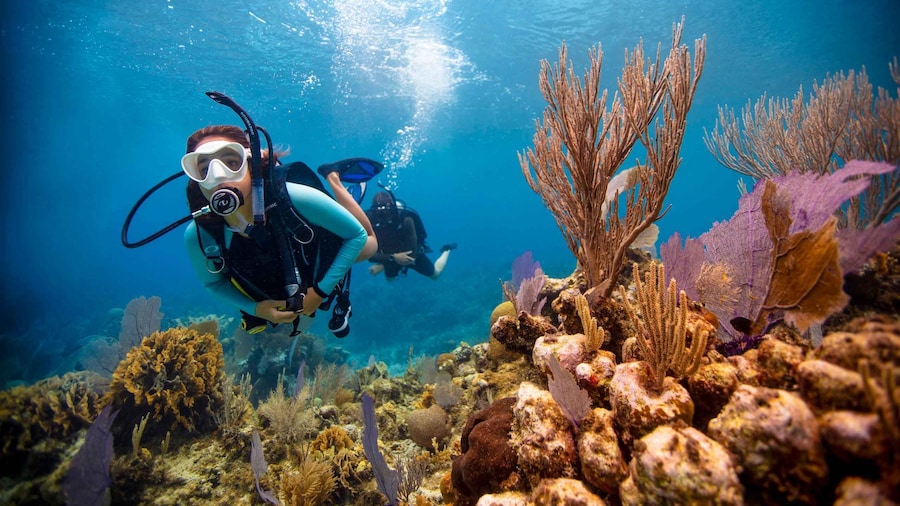Fun Dives -2 Tank Dives for Certified Divers