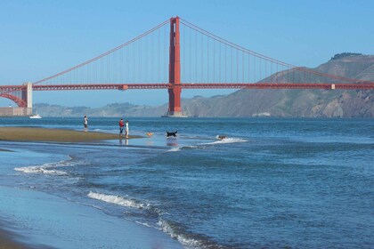 Ultimate Golden Gate Bridge & SF Bay Explorer Tour