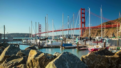 Tur Penjelajahan Jembatan Golden Gate & Teluk SF