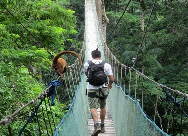 Aventura en la jungla | Tirolesa, canopy, kayak|