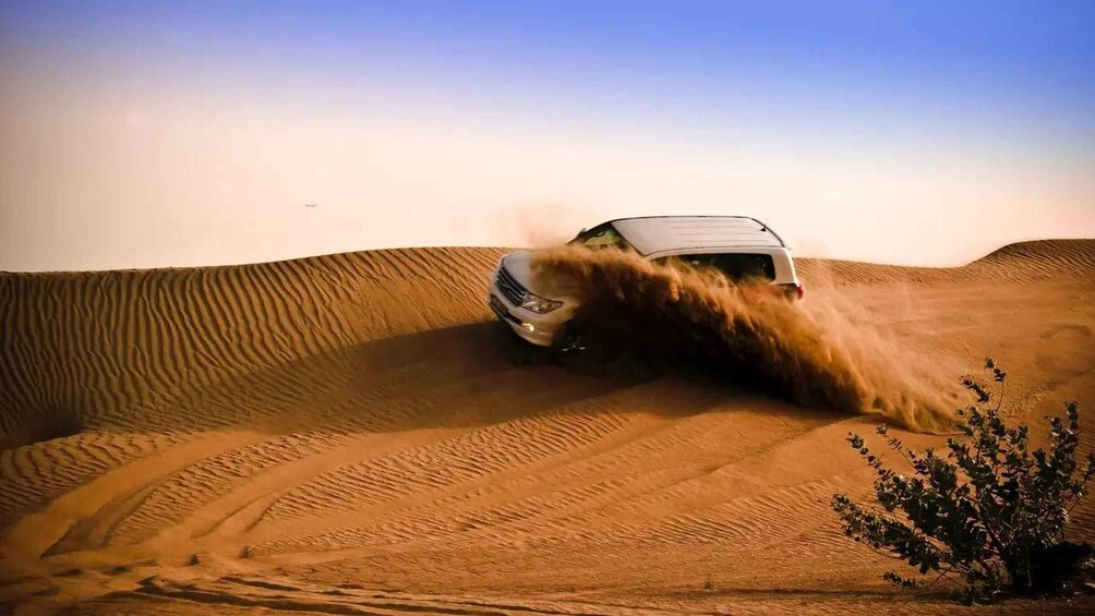 Picture 1 for Activity Doha Desert Safari, Sandboarding, Camel Ride and Inland sea