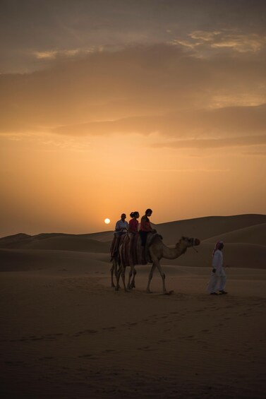 Picture 5 for Activity Doha: Desert Safari, Sandboarding, Camel Ride and Inland sea